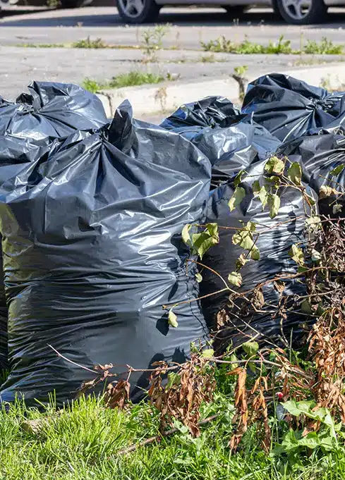 Gartenabfall Entsorgung