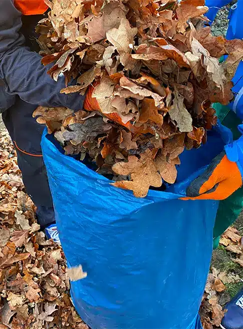 Gartenabfall Entsorgung